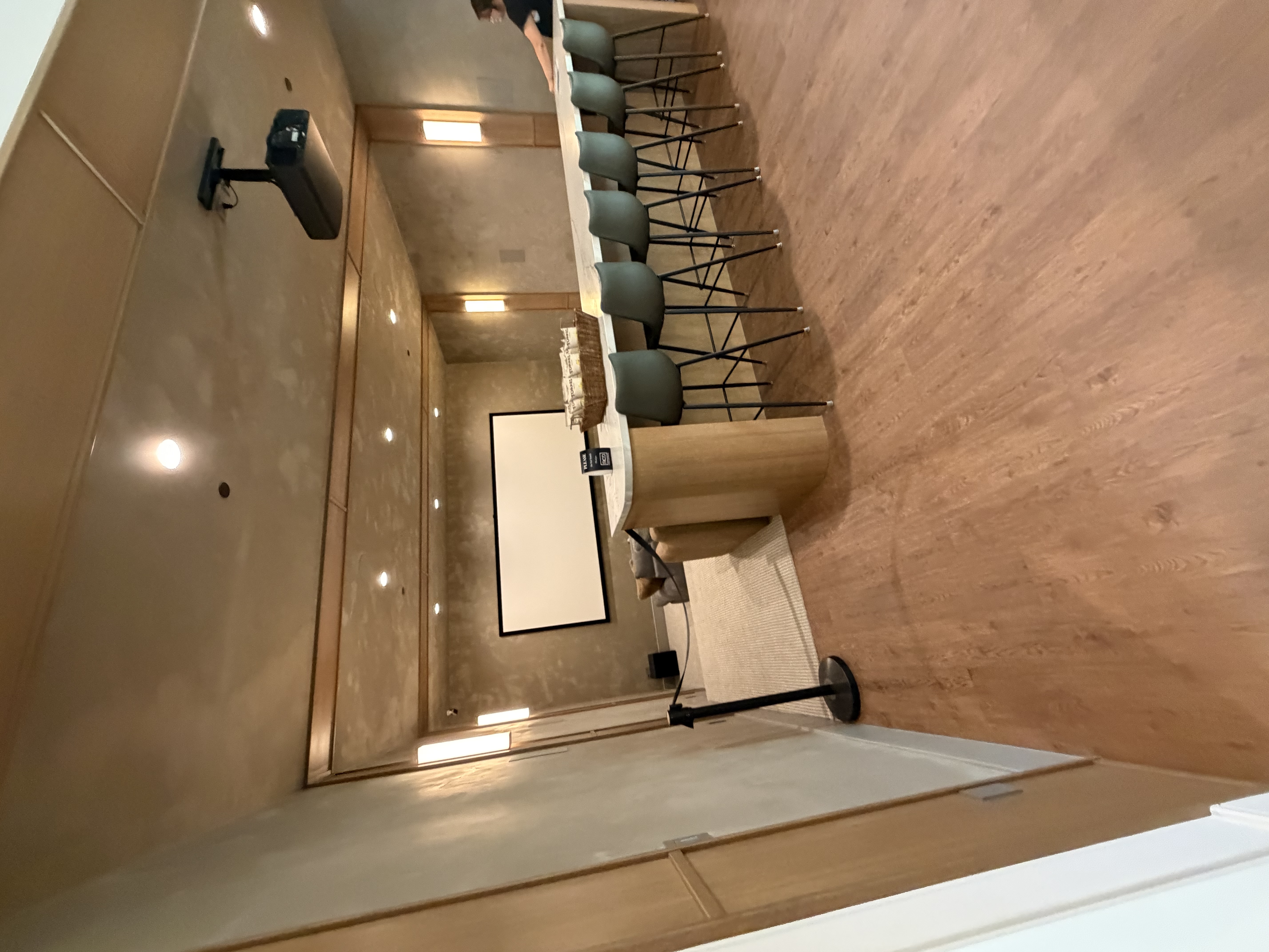 Theater Room