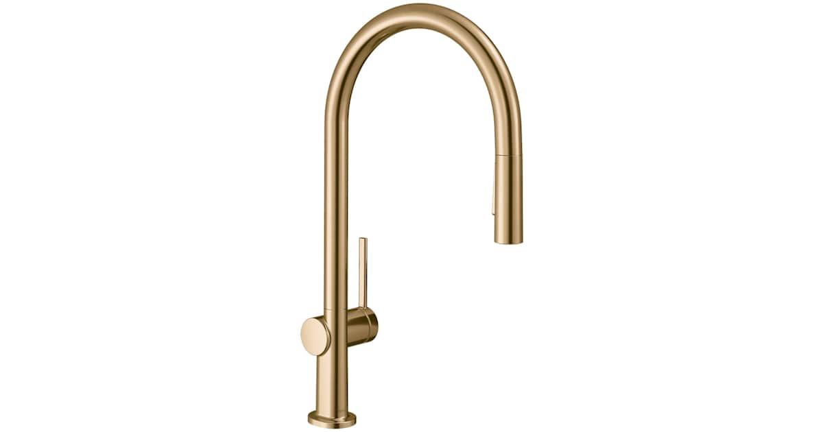 Hansgrohe 72800141 Talis N 1.75 GPM Single Hole Pull Down Kitchen Faucet | Ferguson Home